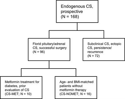 Metformin and Bone Metabolism in Endogenous Glucocorticoid Excess: An Exploratory Study